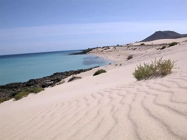 Pura Vida Corralejoホステル ホステル コラレホ