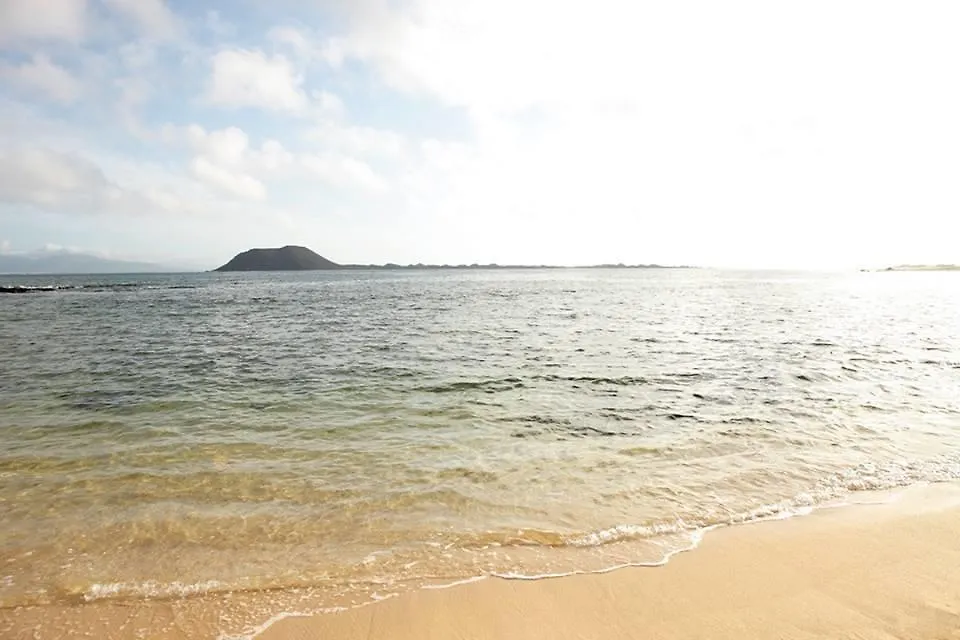 Pura Vida Corralejo Ostello